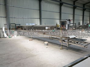 國內知名紅薯粉皮加工設備選購指南 廠家、價格與銷售熱線