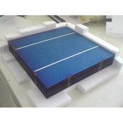 【太陽能電池板155W單晶硅電池片(廠家批發 質量可靠)】價格_廠家_圖片 -